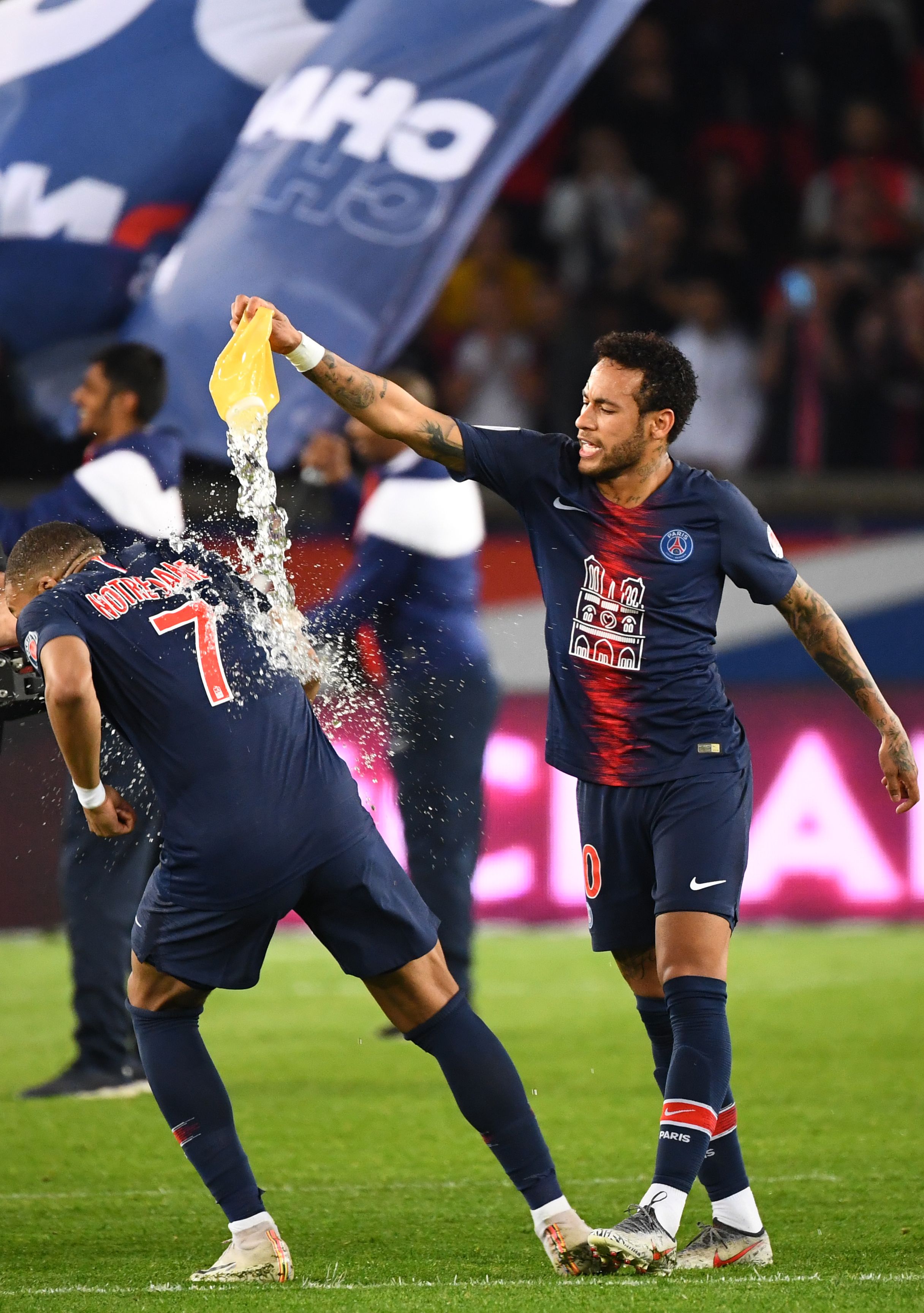 解析迈阿密马林鱼的拉美挖掘机